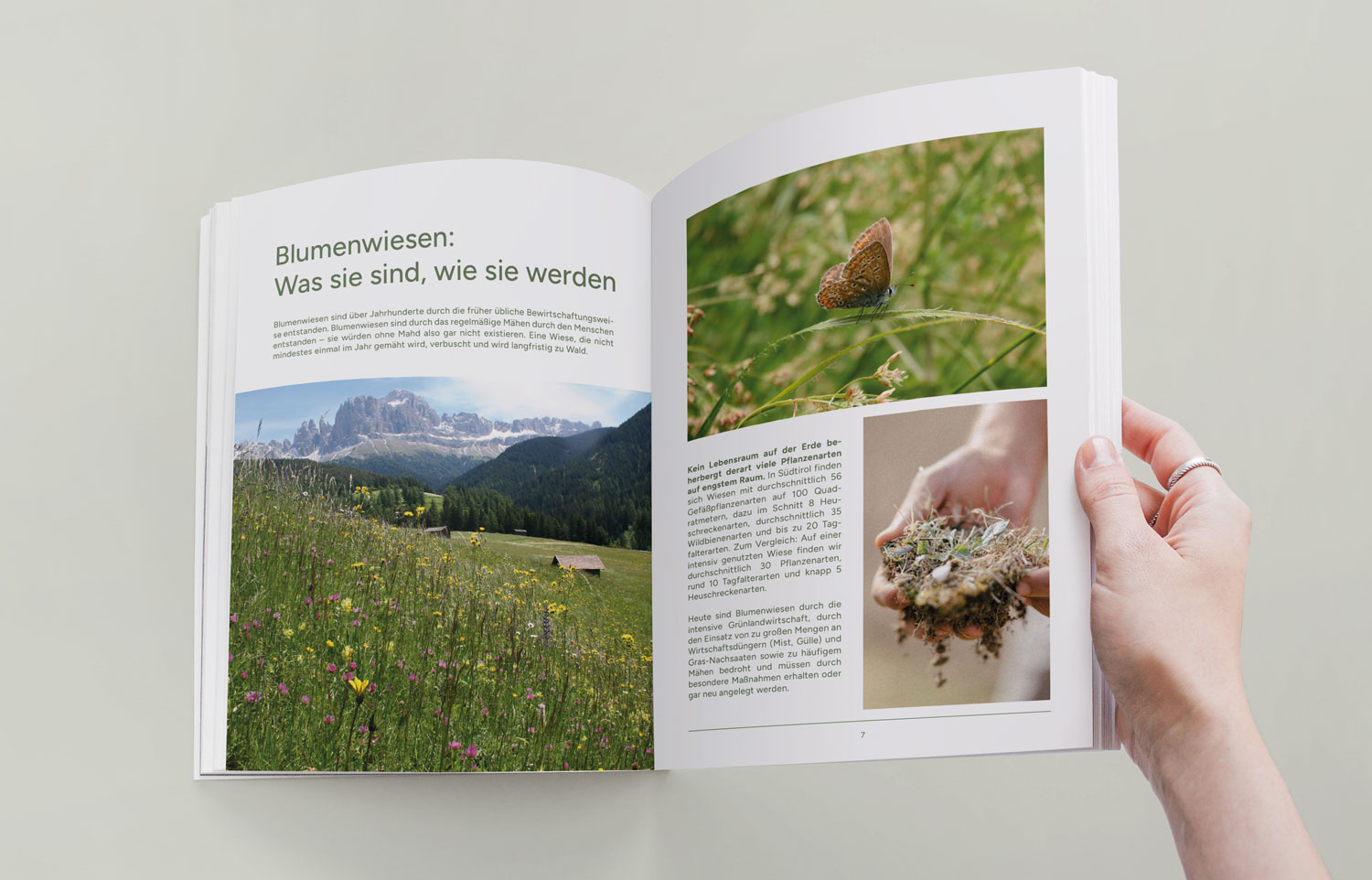 Farbgebung, Farbpsychologie