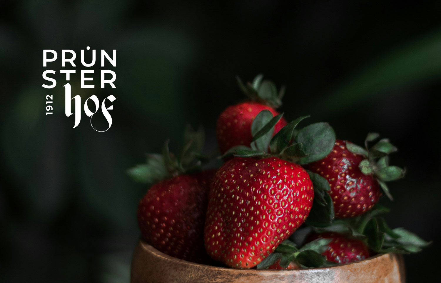 Gestalung und Layout neues Logo