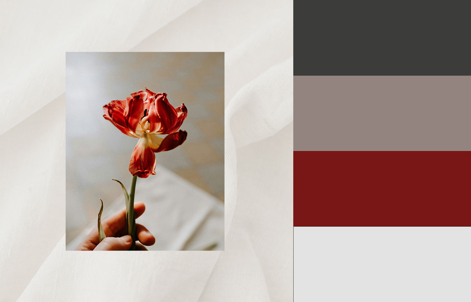 Professionelles Branding mit Logo